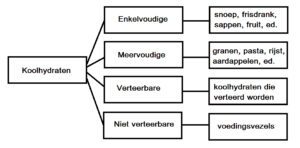Koolhydraten: enkelvoudige, meervoudige, verteerbare en niet verteerbare 