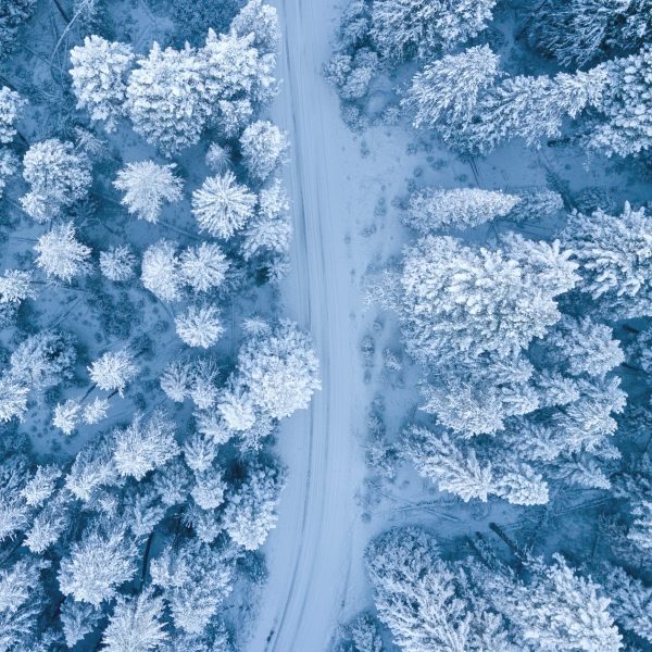 winterdip - YPC